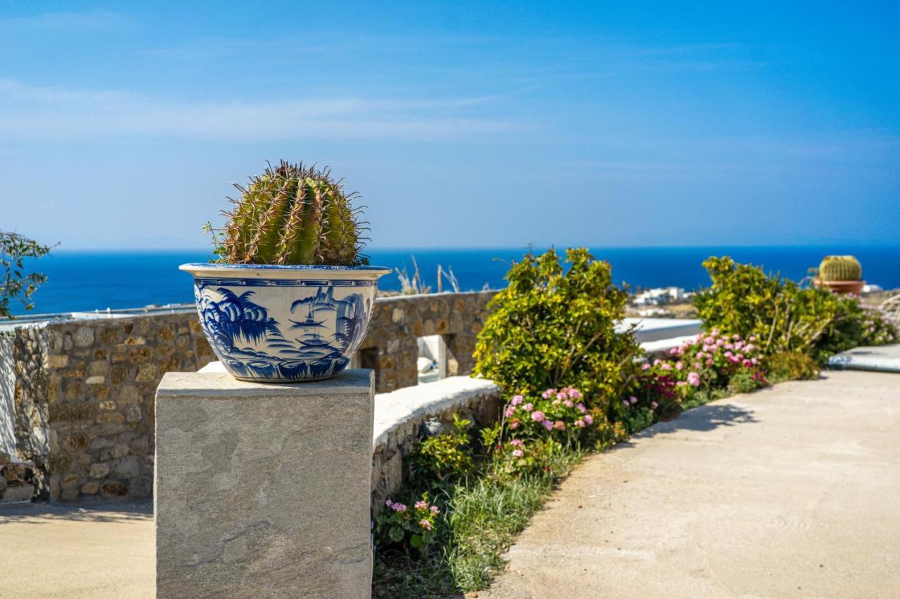 Oniropetra Mykonos Apartment Plintri