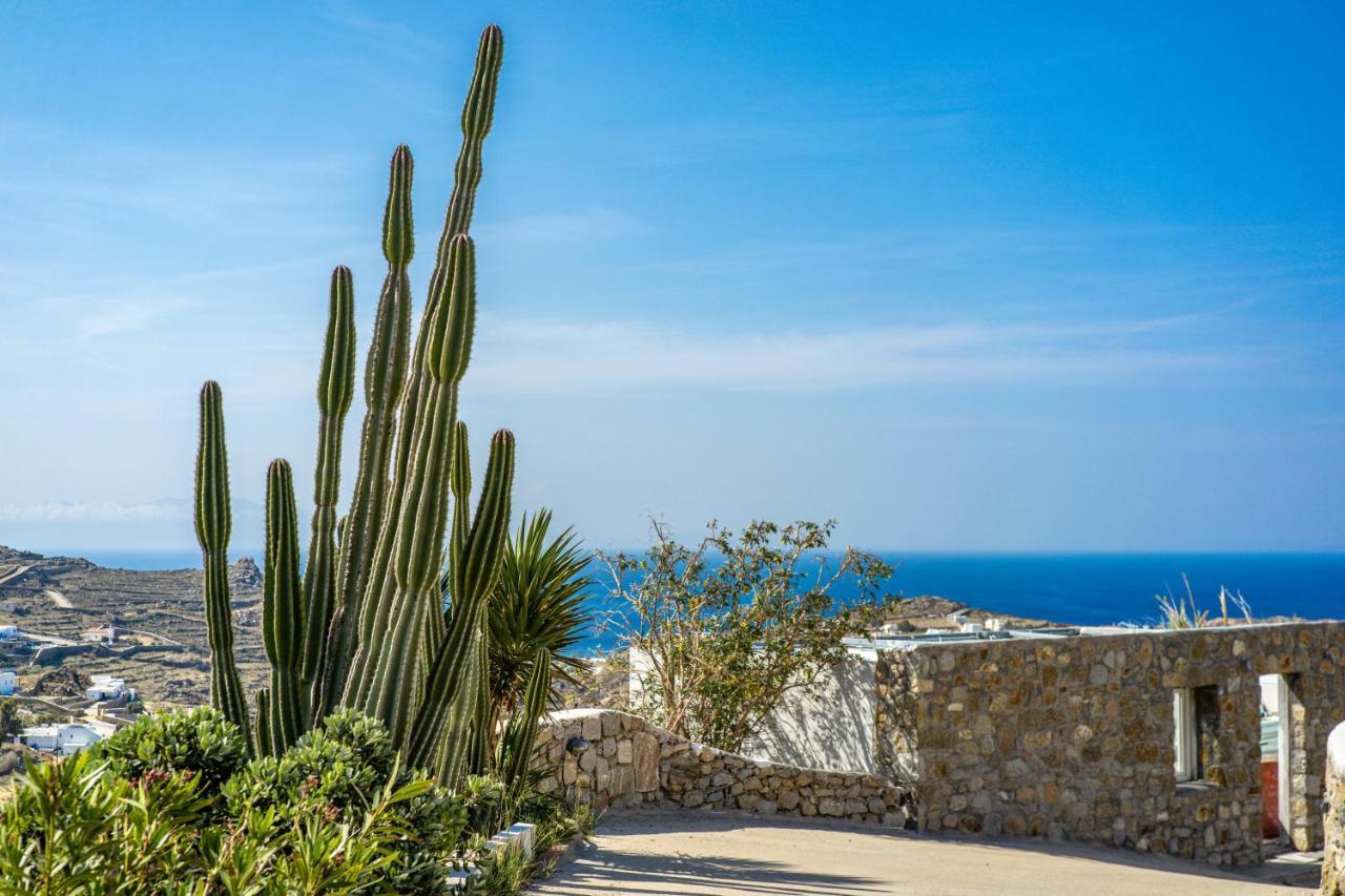 Oniropetra Mykonos Apartament *